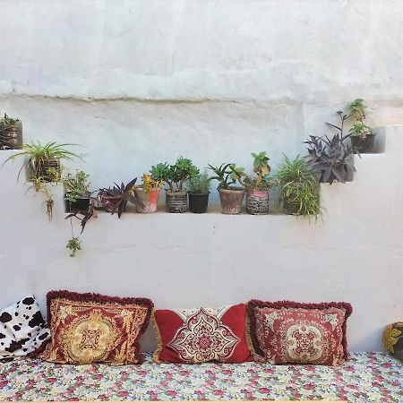 Hostel Zicatela Taghazout Kültér fotó